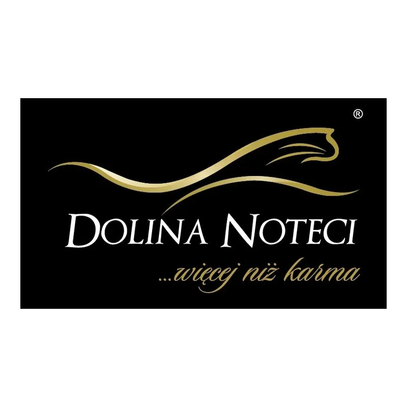 Dolina Noteci
